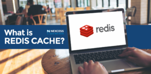 What is Redis Cache? Redis Cache Explained Simply [2022]